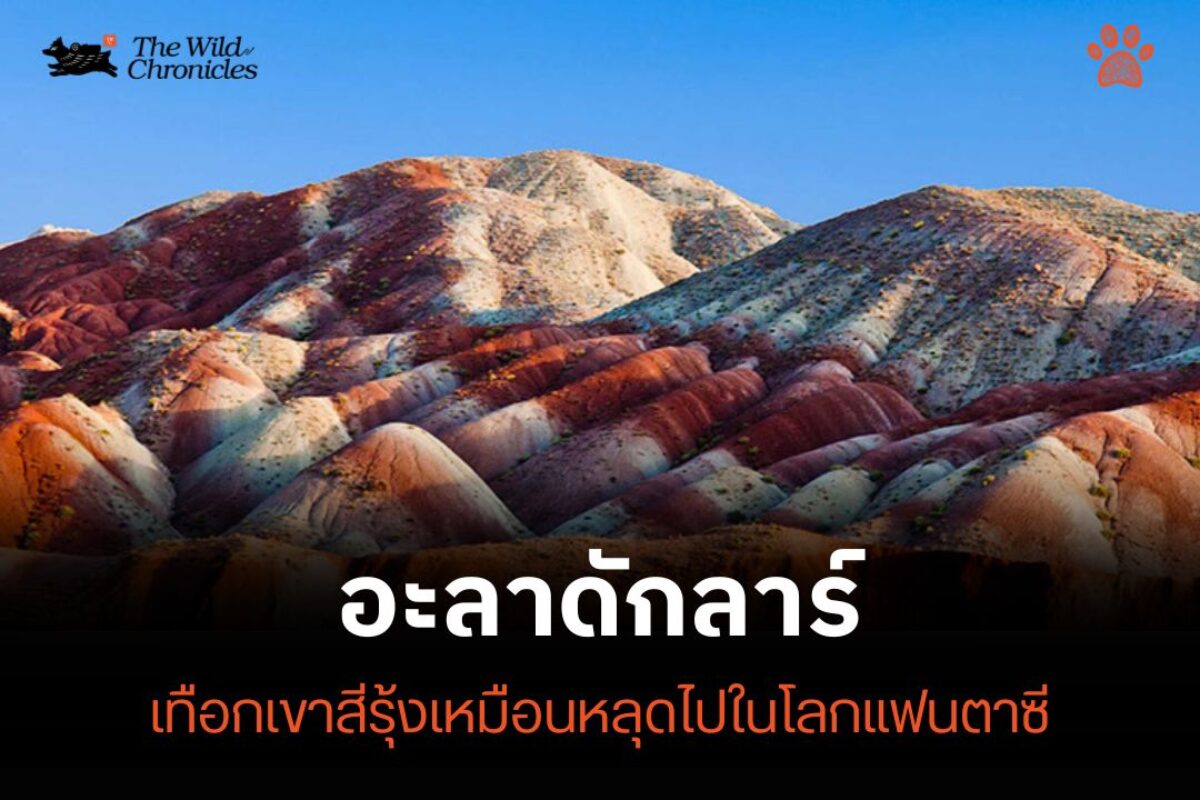 รูปภูเขา กับข้อความ