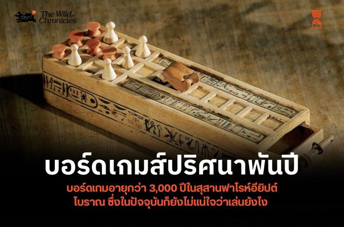 รูปภาพเกมชนิดหนึ่ง