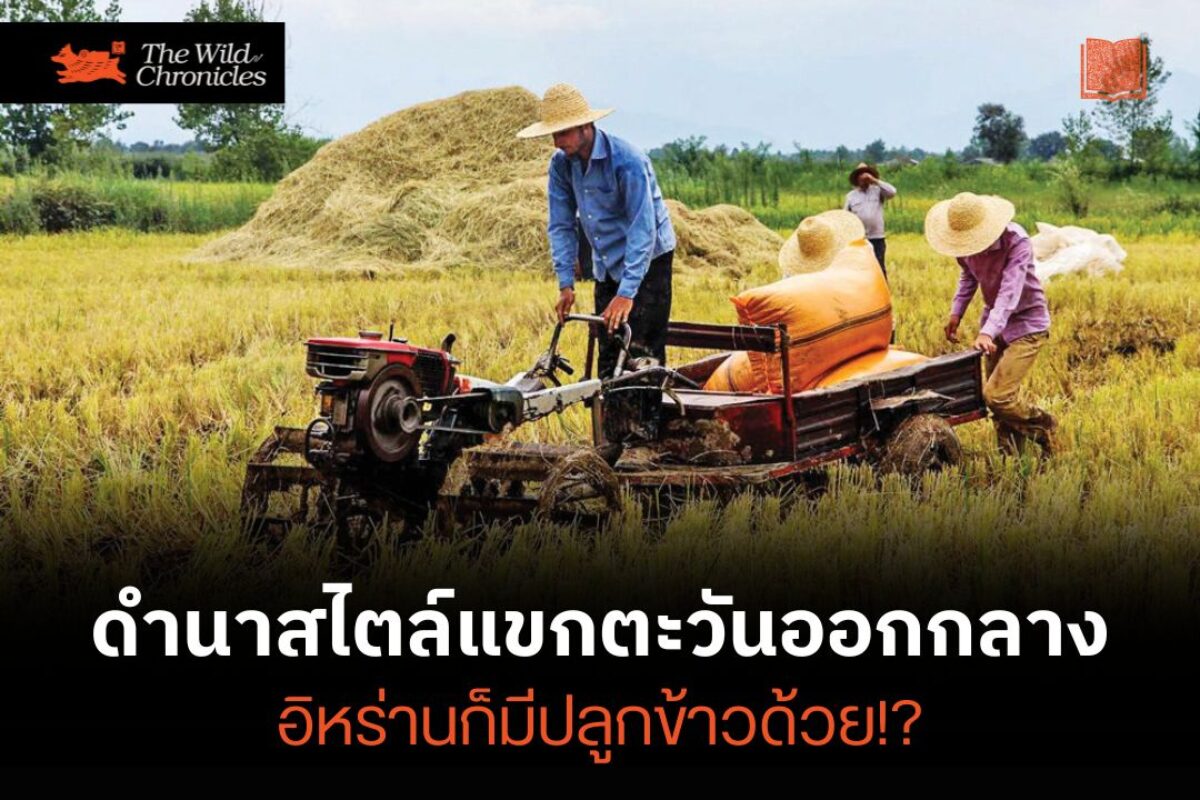 รูปคนทำนา