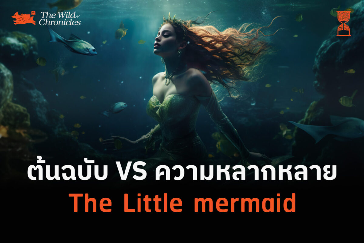 ต้นฉบับ VS ความหลากหลาย The Little mermaid