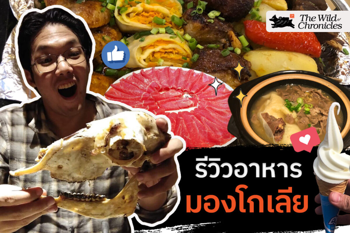 รีวิวอาหารมองโกเลีย