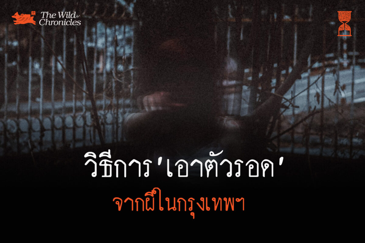 วิธีการเอาตัวรอดจากผีในกรุงเทพฯ
