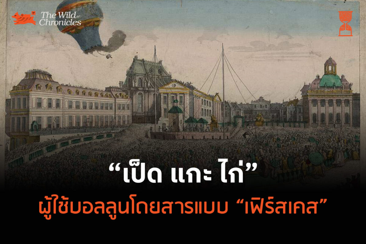 เป็ด แกะ ไก่ ผู้ใช้บอลลูนโดยสารแบบ “เฟิร์สเคส”