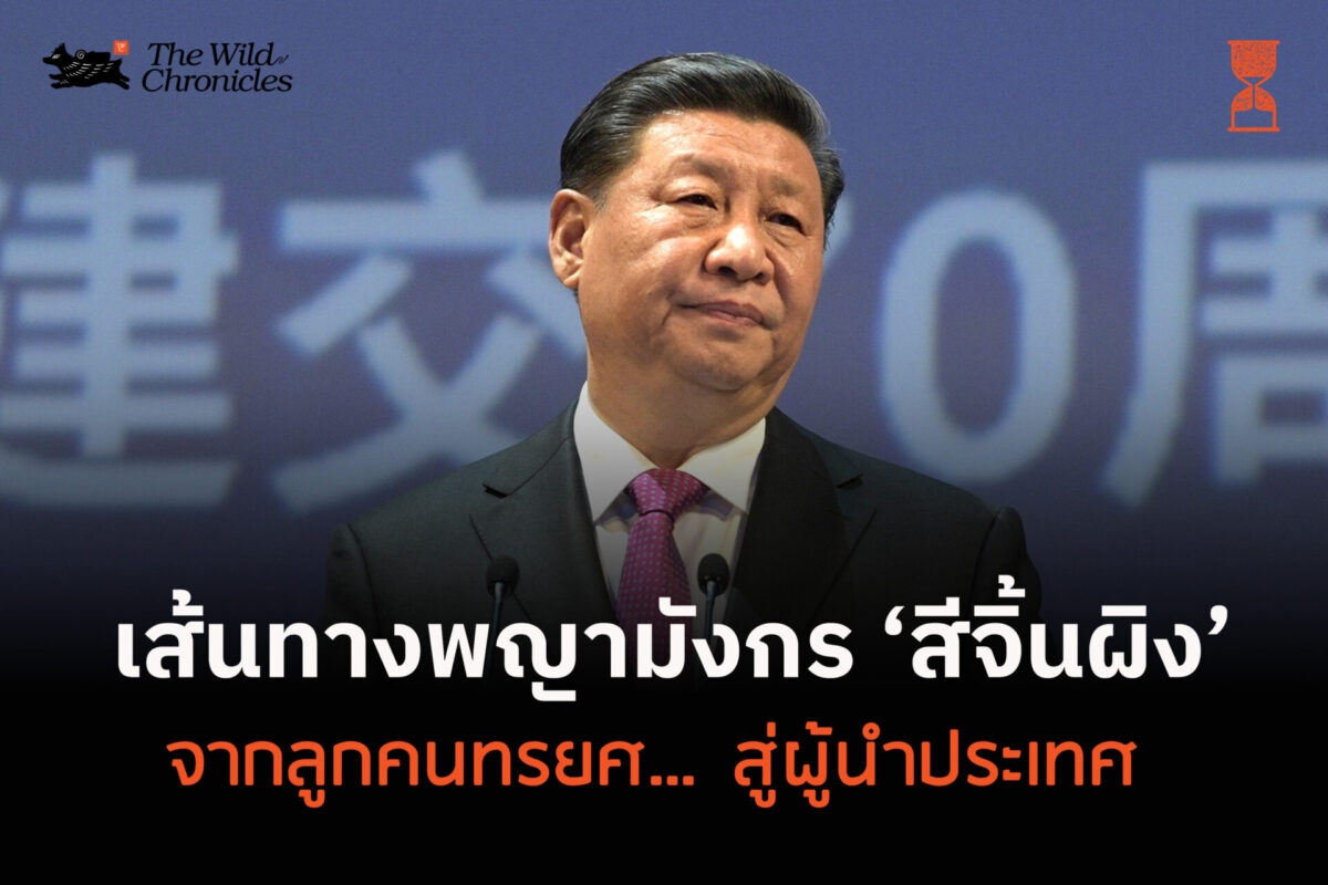 เส้นทางพญามังกร สีจิ้นผิง จากลูกคนทรยศ… สู่ผู้นำประเทศ