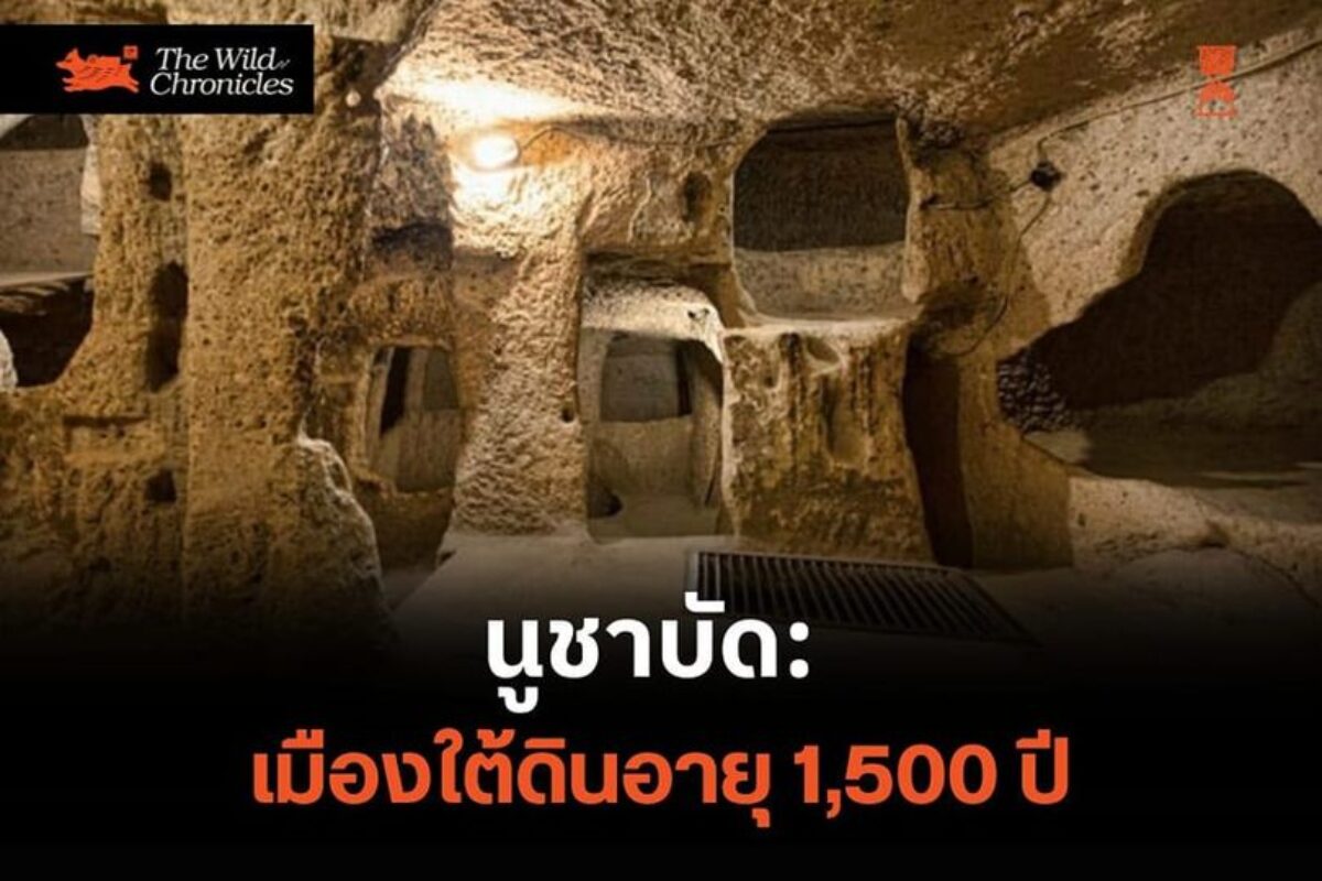 นูชาบัด: เมืองใต้ดินอายุ 1,500 ปี
