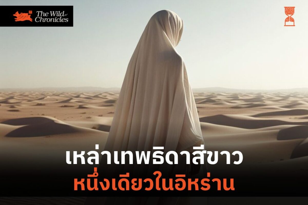 เหล่าเทพธิดาสีขาว หนึ่งเดียวในอิหร่าน