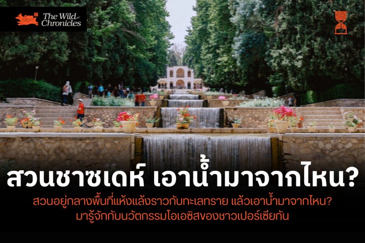 สวนชาซเดห์ เอาน้ำมาจากไหน?: นวัตกรรมโอเอซิสของชาวเปอร์เซีย