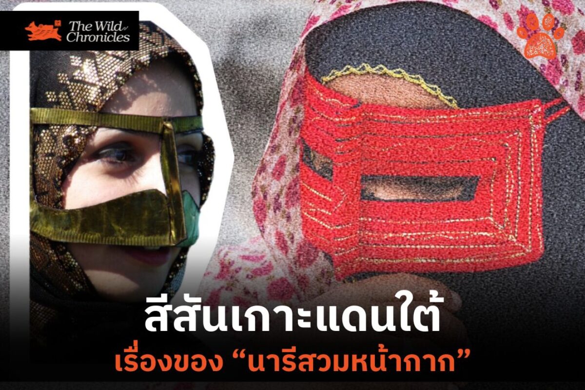 สีสันเกาะแดนใต้ เรื่องของ “นารีสวมหน้ากาก”