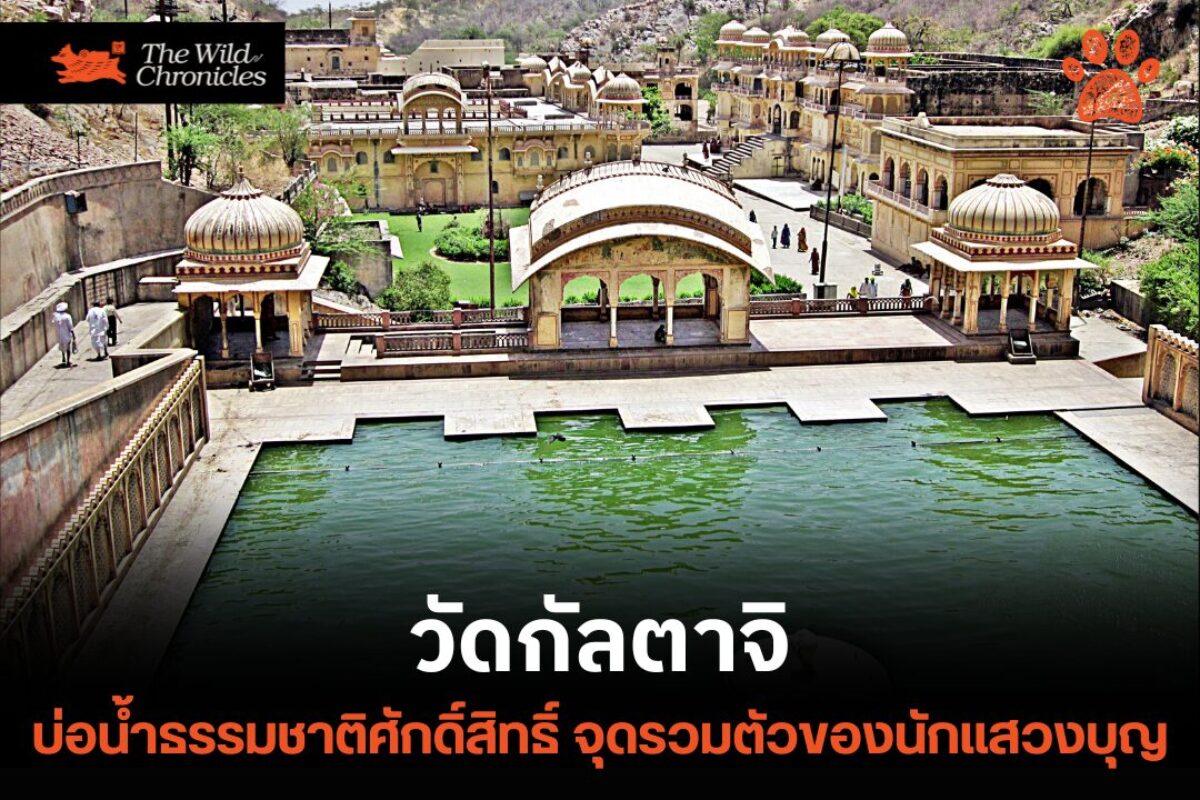 บ่อน้ำธรรมชาติศักดิ์สิทธิ์ จุดรวมตัวของนักแสวงบุญ : วัดกัลตาจิ