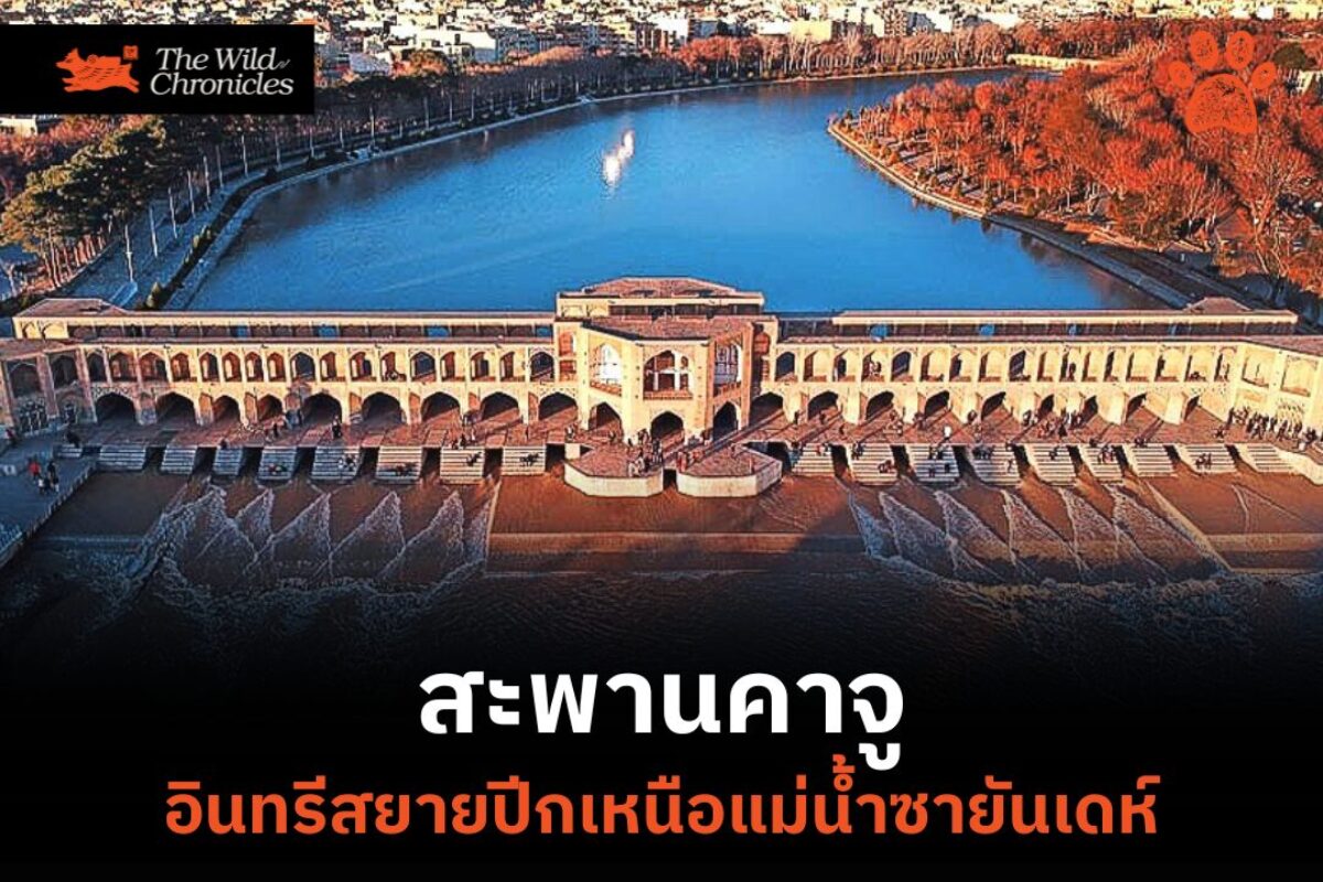 สะพานคาจู อินทรีสยายปีกเหนือแม่น้ำซายันเดห์