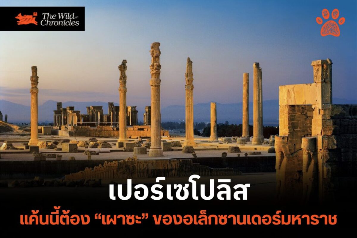 เปอร์เซโปลิส แค้นนี้ต้อง “เผาซะ” ของอเล็กซานเดอร์มหาราช