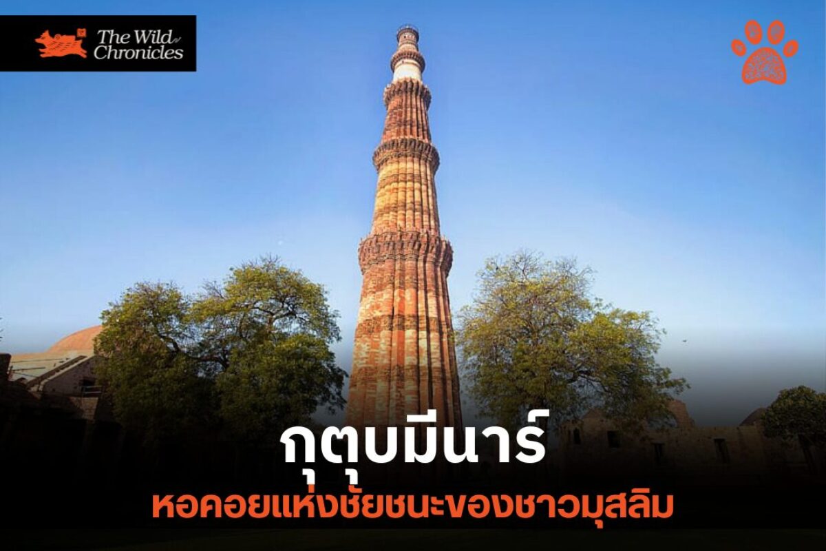 หอคอยแห่งชัยชนะของชาวมุสลิม : กุตุบมีนาร์