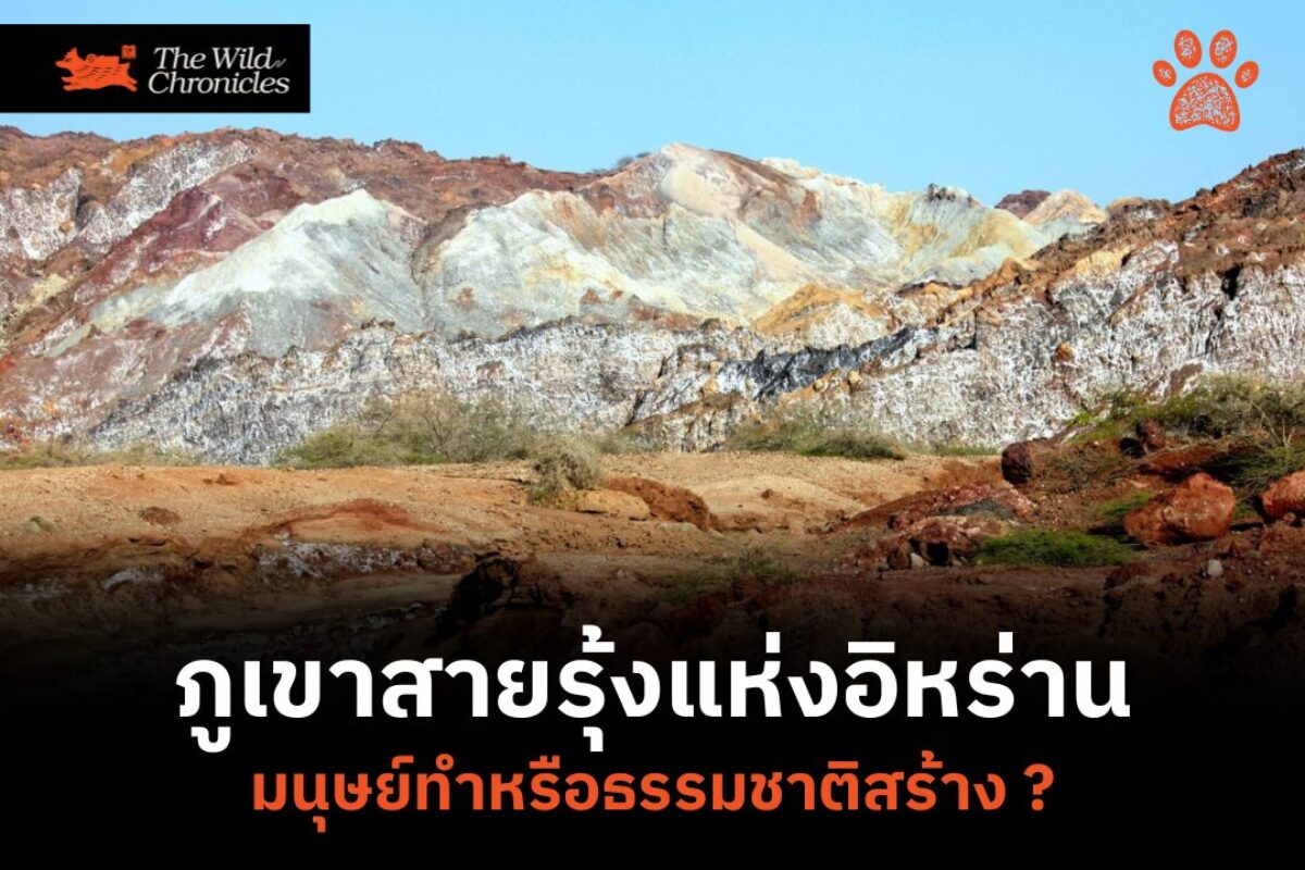 ภูเขาสายรุ้งแห่งอิหร่าน : มนุษย์ทำหรือธรรมชาติสร้าง ?