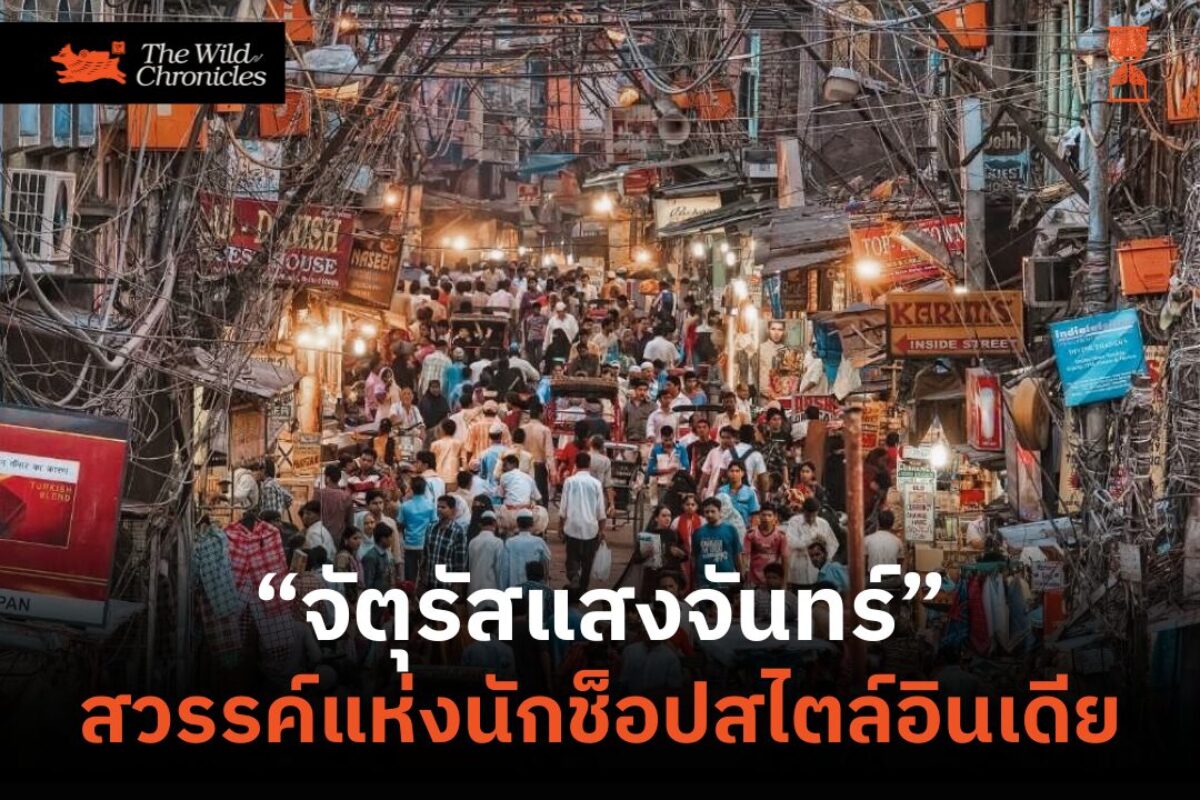 สวรรค์แห่งนักช็อปสไตล์อินเดีย “จัตุรัสแสงจันทร์”