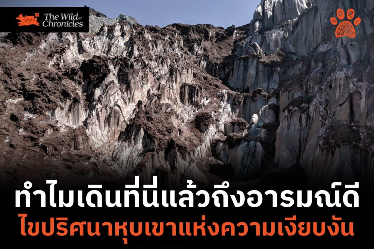 ทำไมเดินที่นี่แล้วถึงอารมณ์ดี : ไขปริศนาหุบเขาแห่งความเงียบงัน