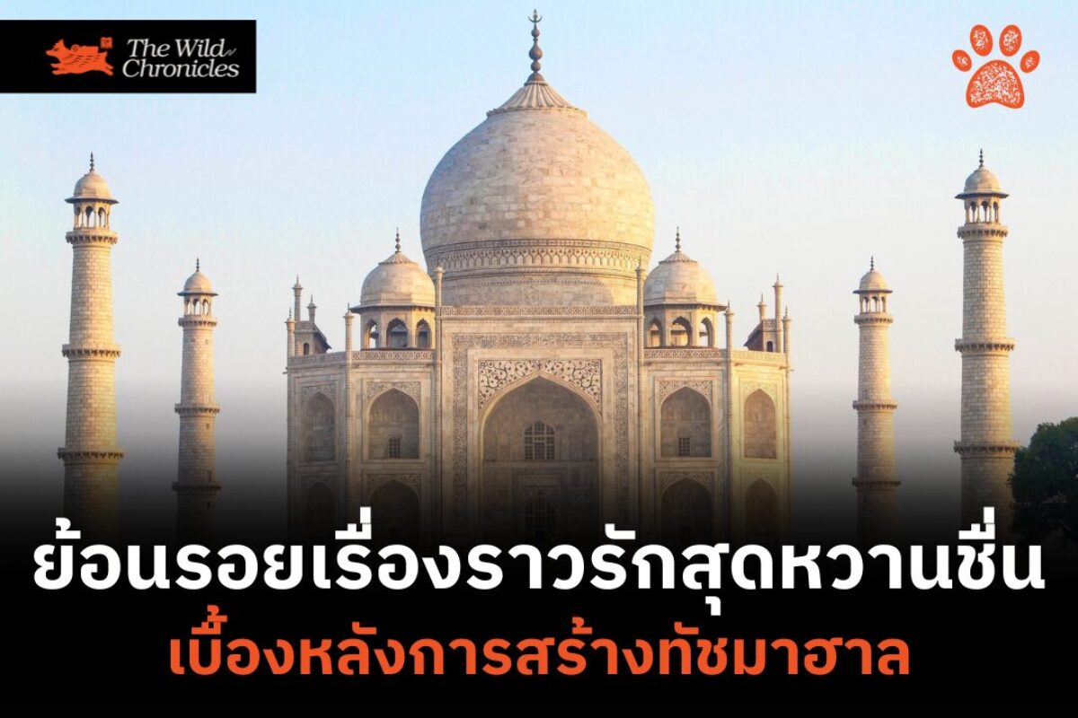 ย้อนรอยรักสุดหวานชื่น เบื้องหลังการสร้างทัชมาฮาล