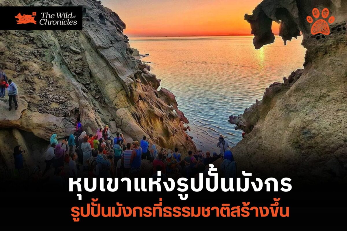 หุบเขาแห่งรูปปั้นมังกร ณ เกาะฮอร์มุซ