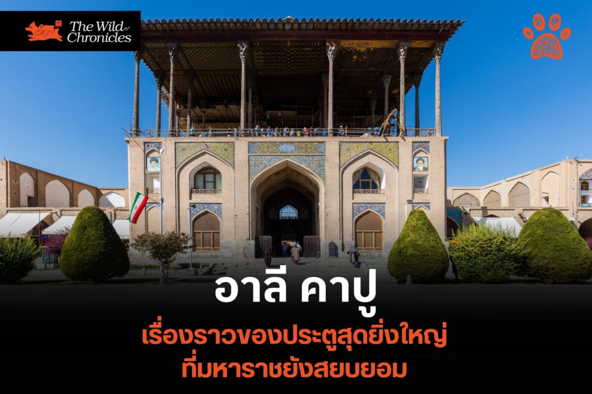 เรื่องราวของ “อาลี คาปู” ประตูยิ่งใหญ่ที่มหาราชยังสยบยอม