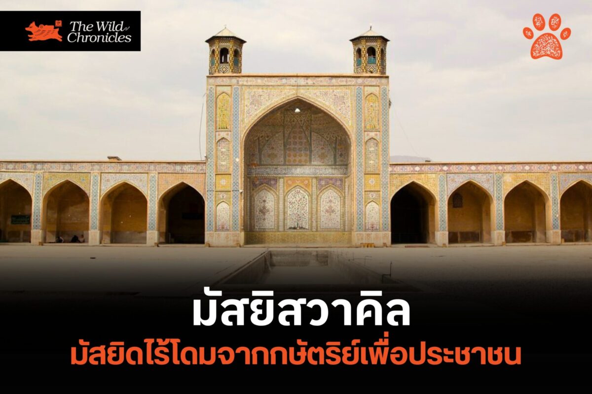 มัสยิสวาคิล มัสยิดไร้โดมจากกษัตริย์เพื่อประชาชน