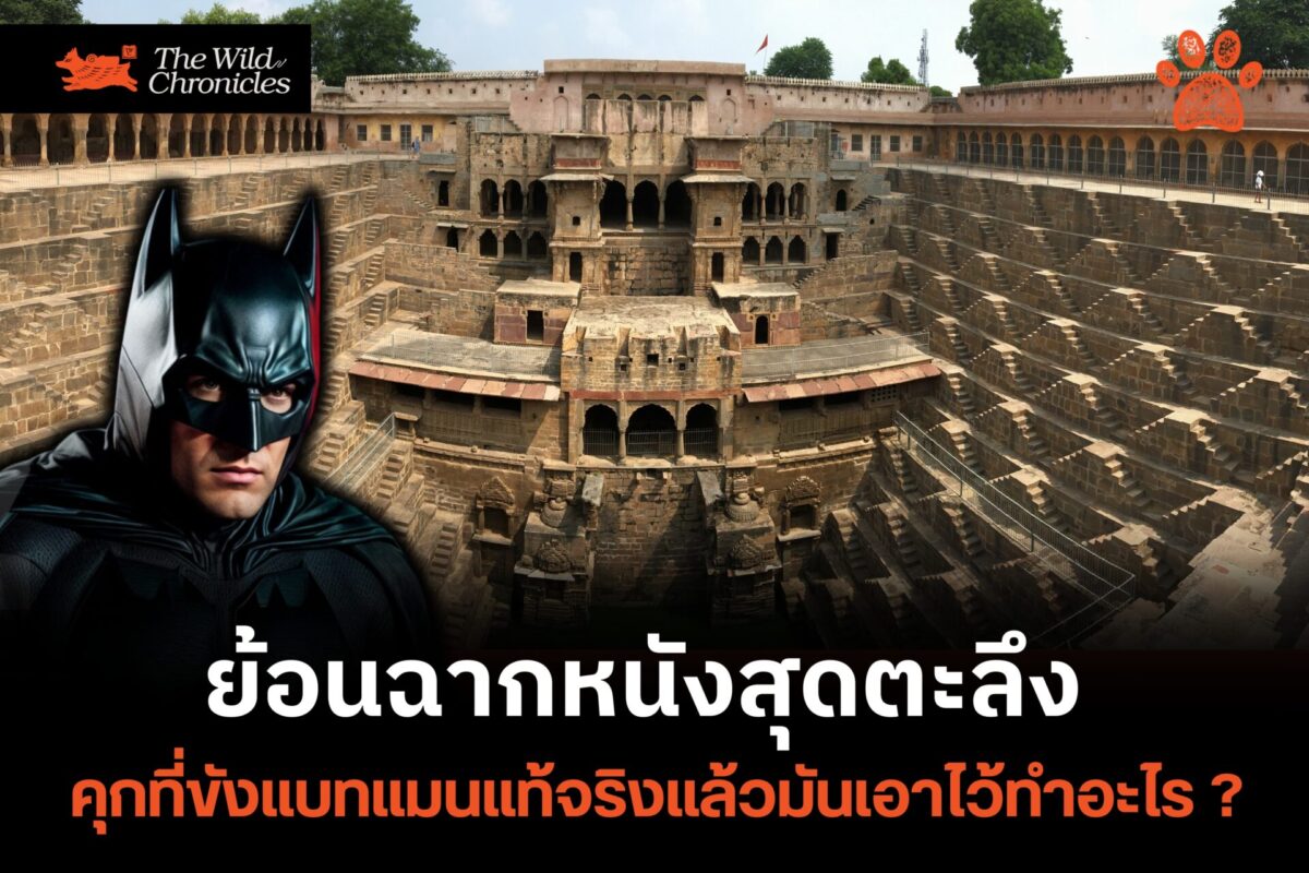 ย้อนฉากหนังสุดตะลึง คุกที่ขังแบทแมนแท้จริงแล้วมันเอาไว้ทำอะไร ?