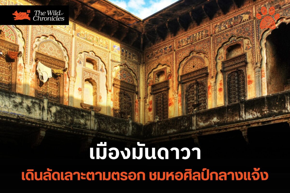 หอศิลป์กลางแจ้ง ณ เมืองมันดาวา