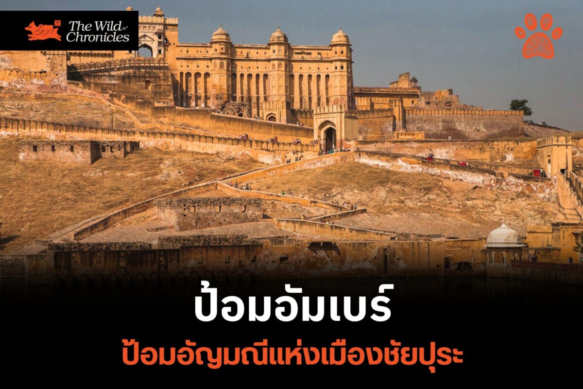 ป้อมอัมเบร์ ป้อมที่เป็นดั่งอัญมณีแห่งเมืองชัยปุระ