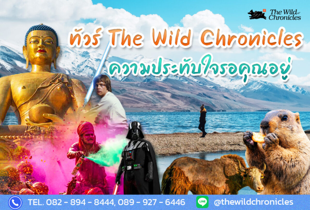 รวมทัวร์ปี 2568 (Tours of 2025)