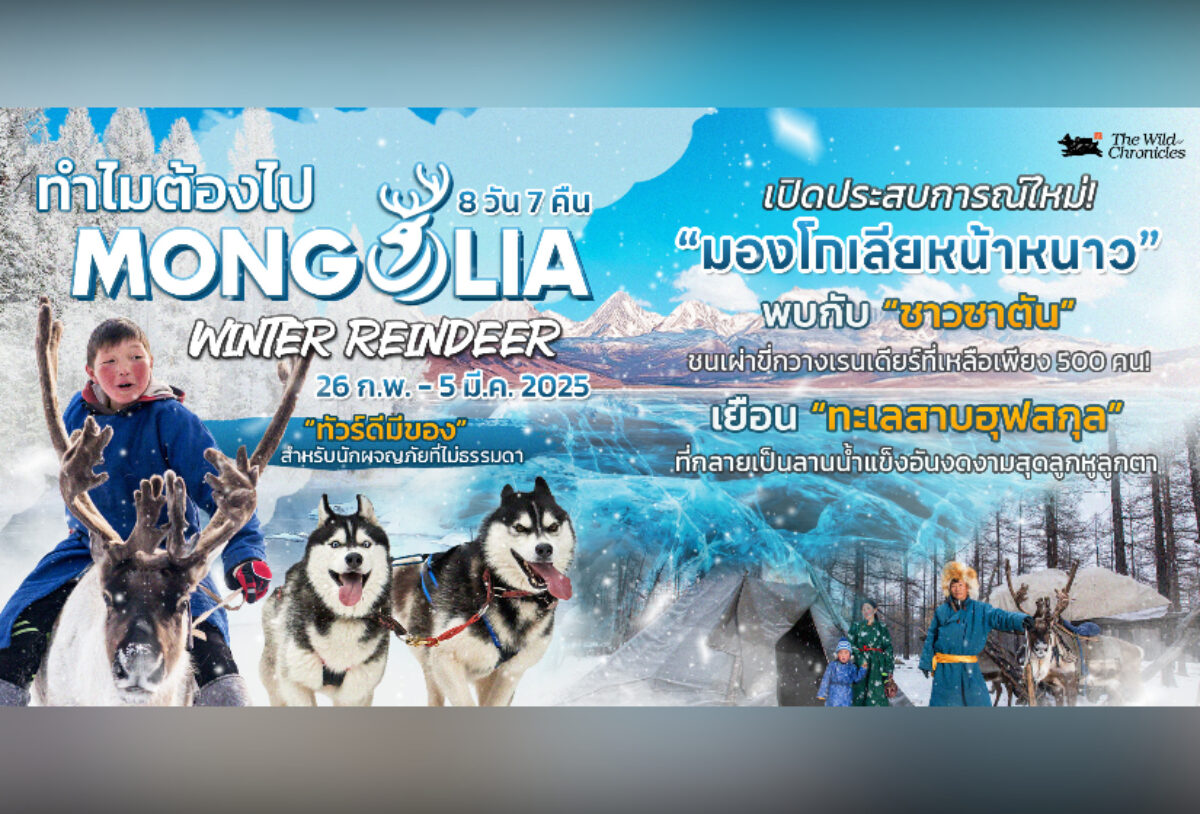 Mongolia Winter Reindeer ทำไมต้องไป “ขี่กวางที่มองโกเลีย” กับ The Wild Chronicles
