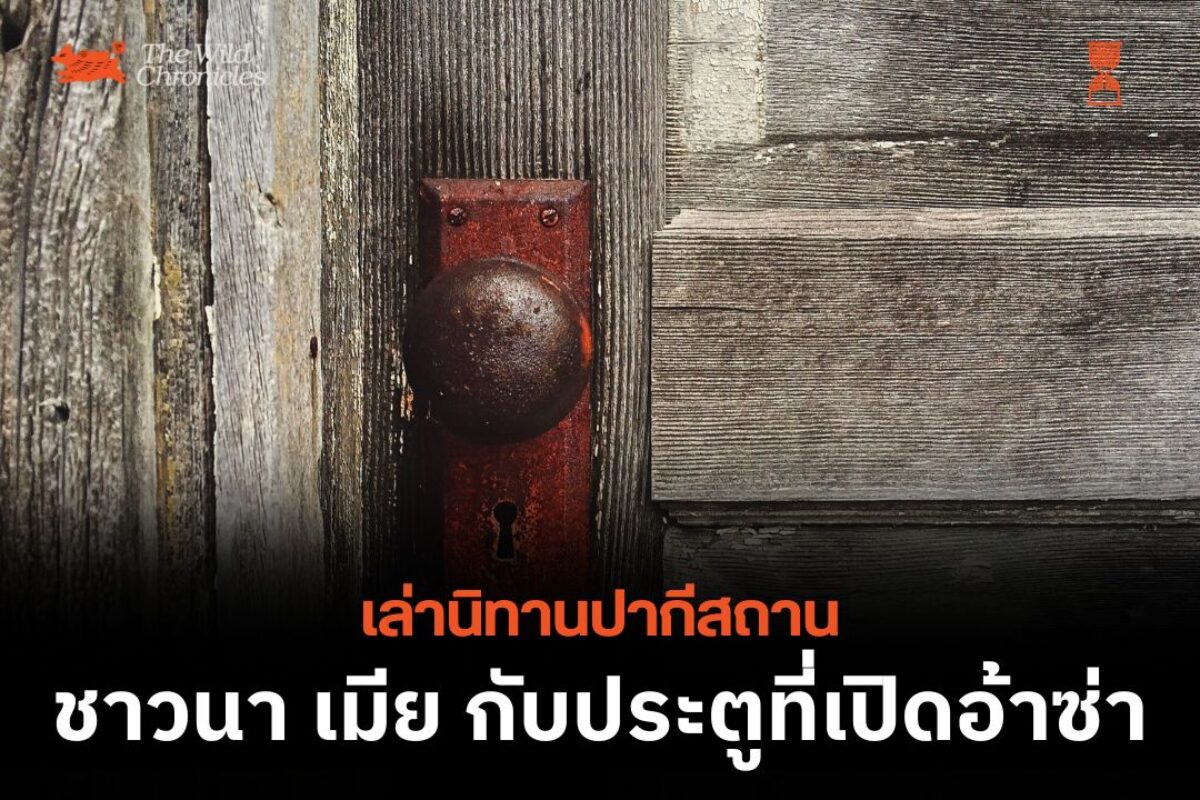 ชาวนา เมีย กับประตูที่เปิดอ้าซ่า