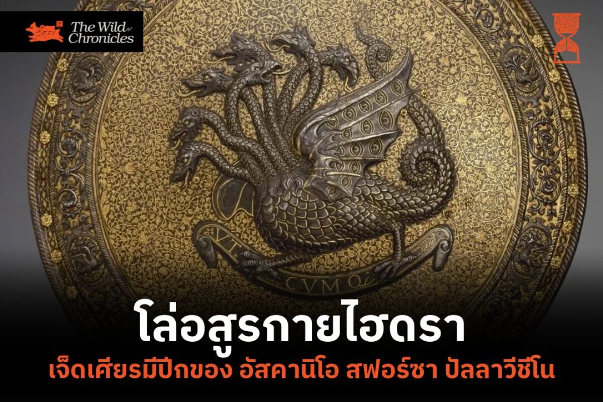 โล่อสูรกายไฮดราเจ็ดเศียรมีปีกของ อัสคานิโอ สฟอร์ซา ปัลลาวีชีโน