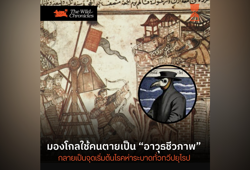 มองโกลใช้คนตายเป็น “อาวุธชีวภาพ” กลายเป็นจุดเริ่มต้น “โรคห่า” ระบาดทั่วทวีปยุโรป
