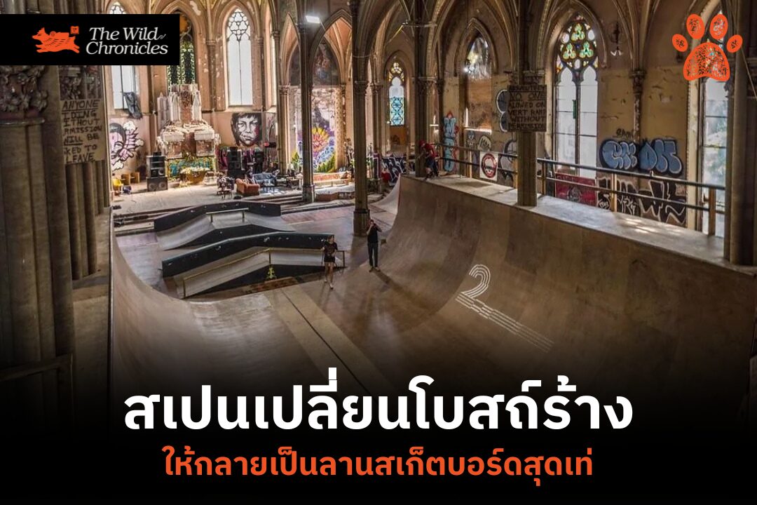 สเปนเปลี่ยนโบสถ์ร้างให้กลายเป็นลานสเก็ตบอร์ดสุดเท่