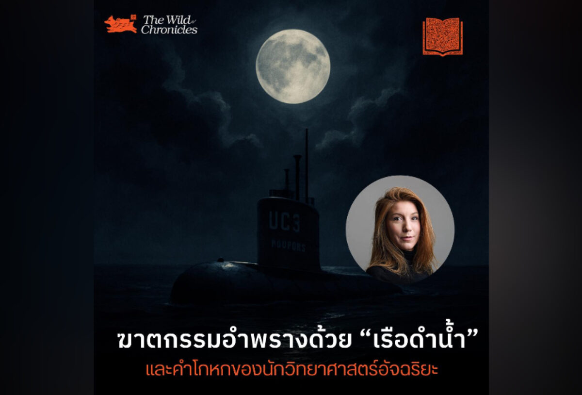 ฆาตกรรมอำพรางด้วยเรือดำน้ำ และคำโกหกของนักวิทยาศาสตร์อัจฉริยะ