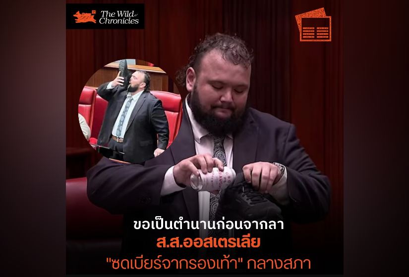 ขอเป็นตำนานก่อนจากลา ส.ส.ออสเตรเลีย “ซดเบียร์จากรองเท้า” กลางสภา อำลาตำแหน่งแบบสุดช็อค