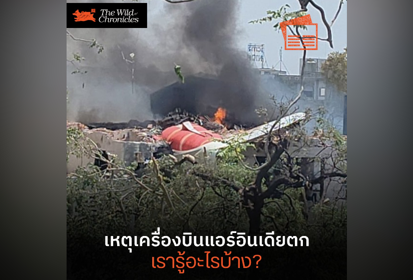 เหตุเครื่องบินแอร์อินเดียตก เรารู้อะไรบ้าง?