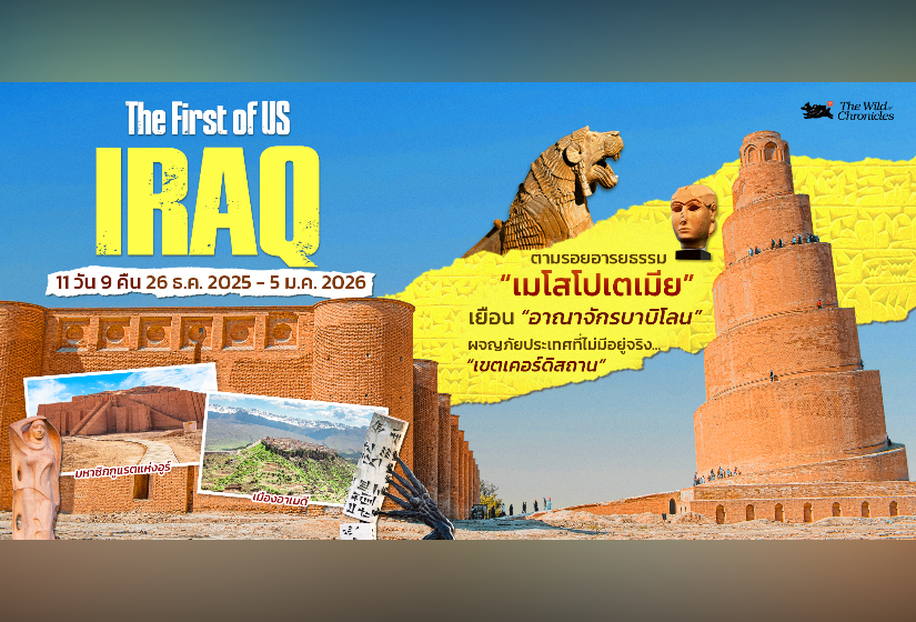 Iraq ทำไมต้องไป “อิรัก” กับ The Wild Chronicles ตามรอยอารยธรรมเมโสโปเตเมีย ต้นกำเนิดรากเหง้าของเราทุกคน