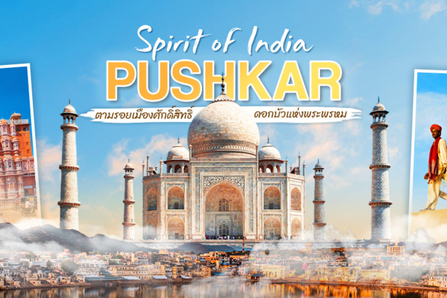 ทัวร์อินเดีย (India) เที่ยวเมืองศักดิ์สิทธิ์พุชการ์