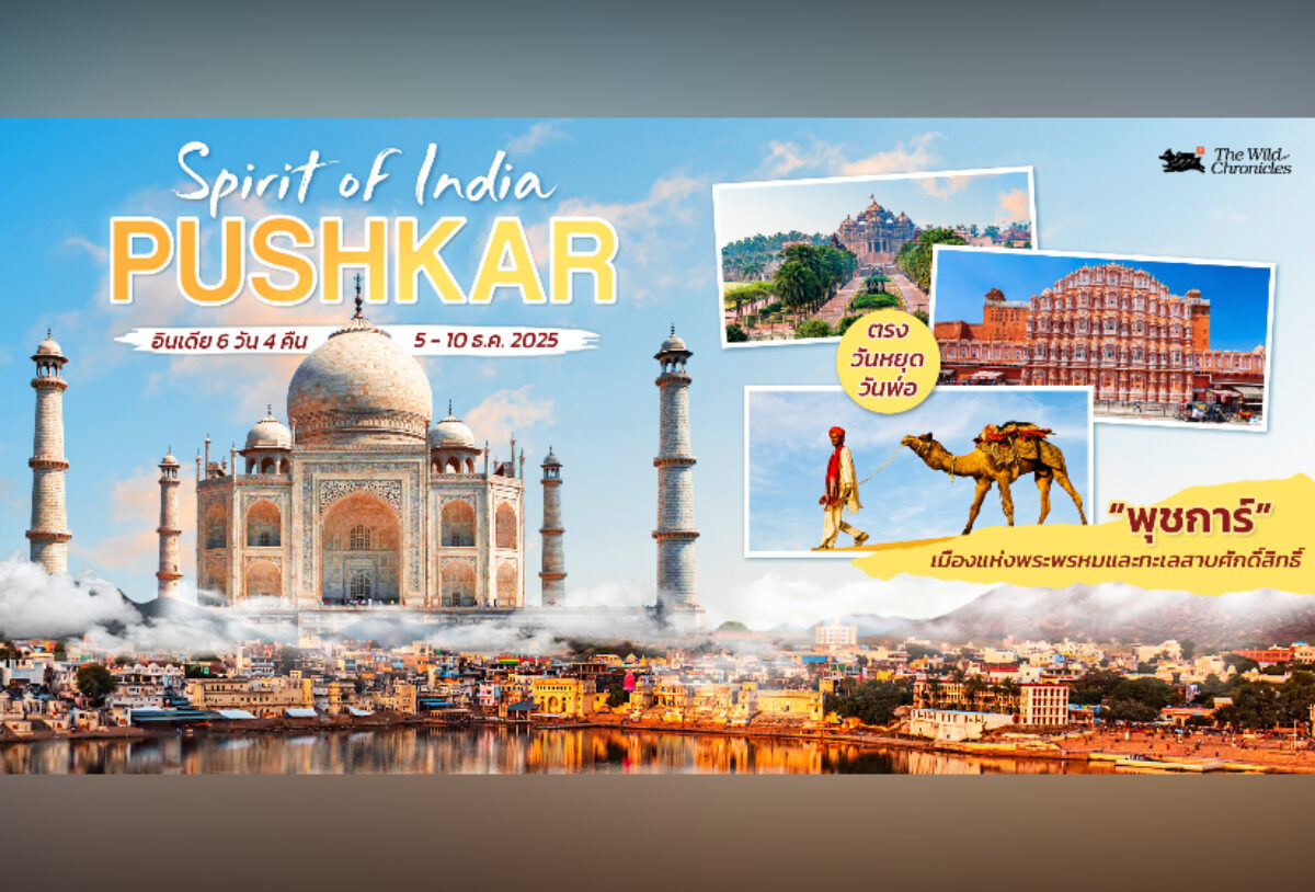 India Pushkar ทำไมต้องไป “อินเดีย” เที่ยวเมืองศักดิ์สิทธิ์พุชการ์-อัจเมอร์ กับ The Wild Chronicles