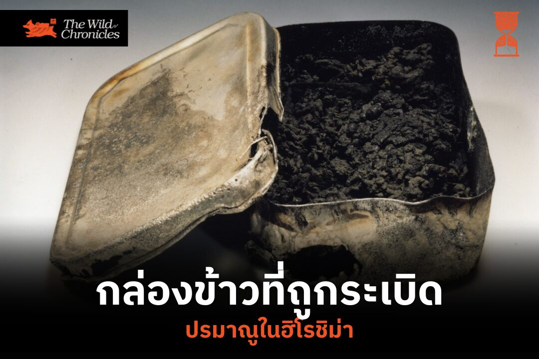 กล่องข้าวที่ถูกระเบิดปรมาณูในฮิโรชิม่า