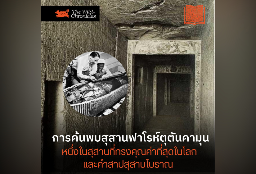 การค้นพบสุสานฟาโรห์ตุตันคามุน หนึ่งในสุสานที่ทรงคุณค่าที่สุดในโลกและคำสาปสุสานโบราณ