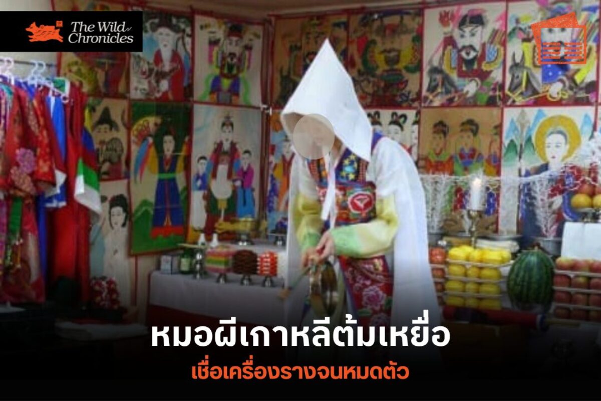 หมอผีเกาหลีต้มเหยื่อ เชื่อเครื่องรางจนหมดตัว