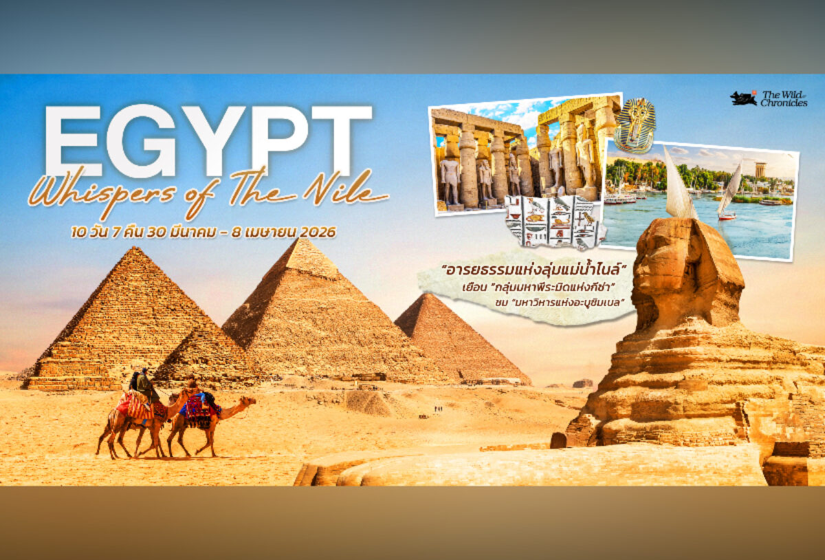 Egypt ทำไมต้องไป.. “อียิปต์” Whispers of the Nile 🧭🌅 กับ The Wild Chronicles