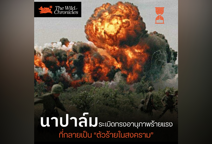 นาปาล์ม ระเบิดทรงอานุภาพร้ายแรงที่กลายเป็น “ตัวร้ายในสงคราม”