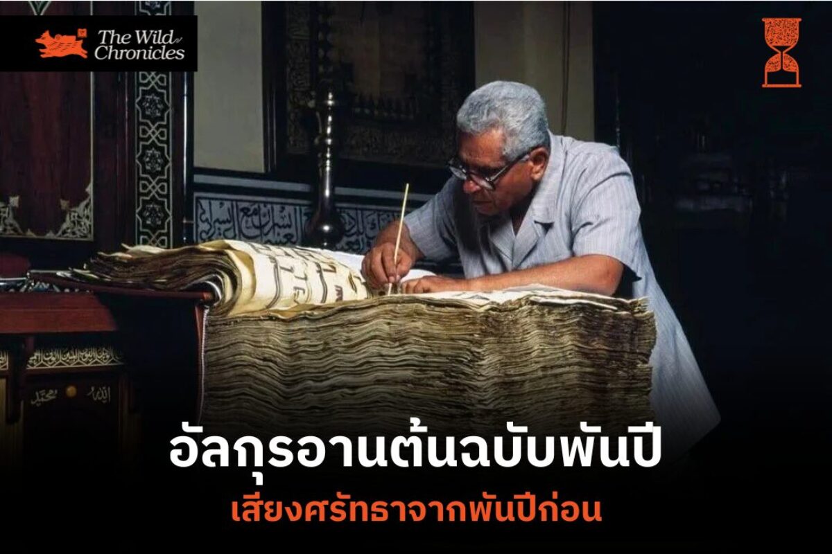 อัลกุรอานต้นฉบับพันปี