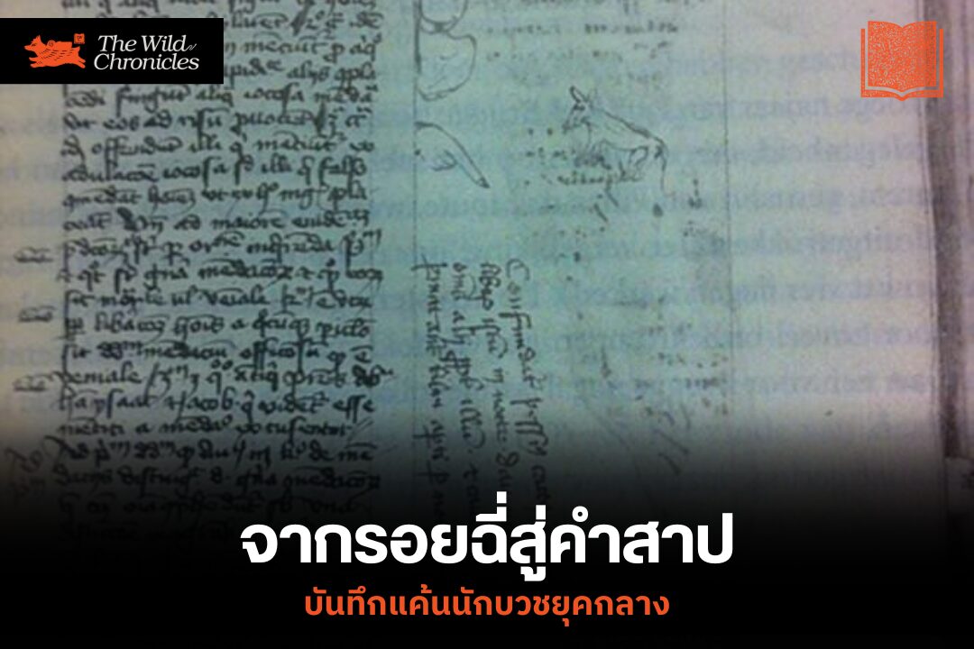 จากรอยฉี่แมวสู่คำสาป: บันทึกแค้นนักบวชยุคกลาง