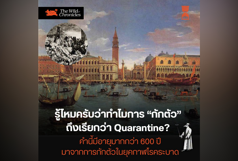 รู้ไหมครับว่าทำไมการ “กักตัว” ถึงเรียกว่า Quarantine? คำนี้มีอายุมากกว่า 600 ปี มาจากการกักตัวในยุคกาฬโรคระบาด